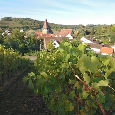 Apartmán Weingut Will Und Wuerz Lemberger Schwaigern Exteriér fotografie