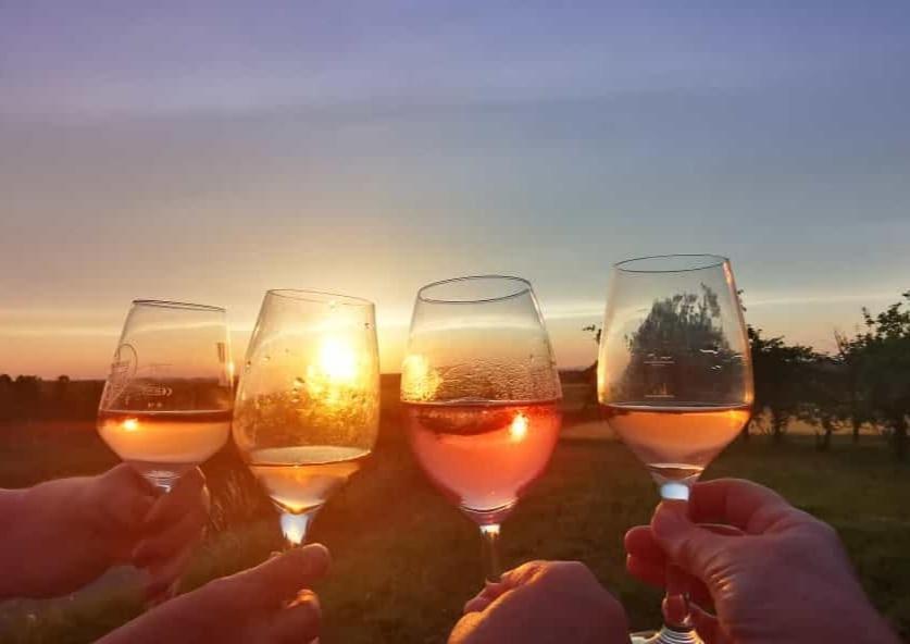 Apartmán Weingut Will Und Wuerz Lemberger Schwaigern Exteriér fotografie