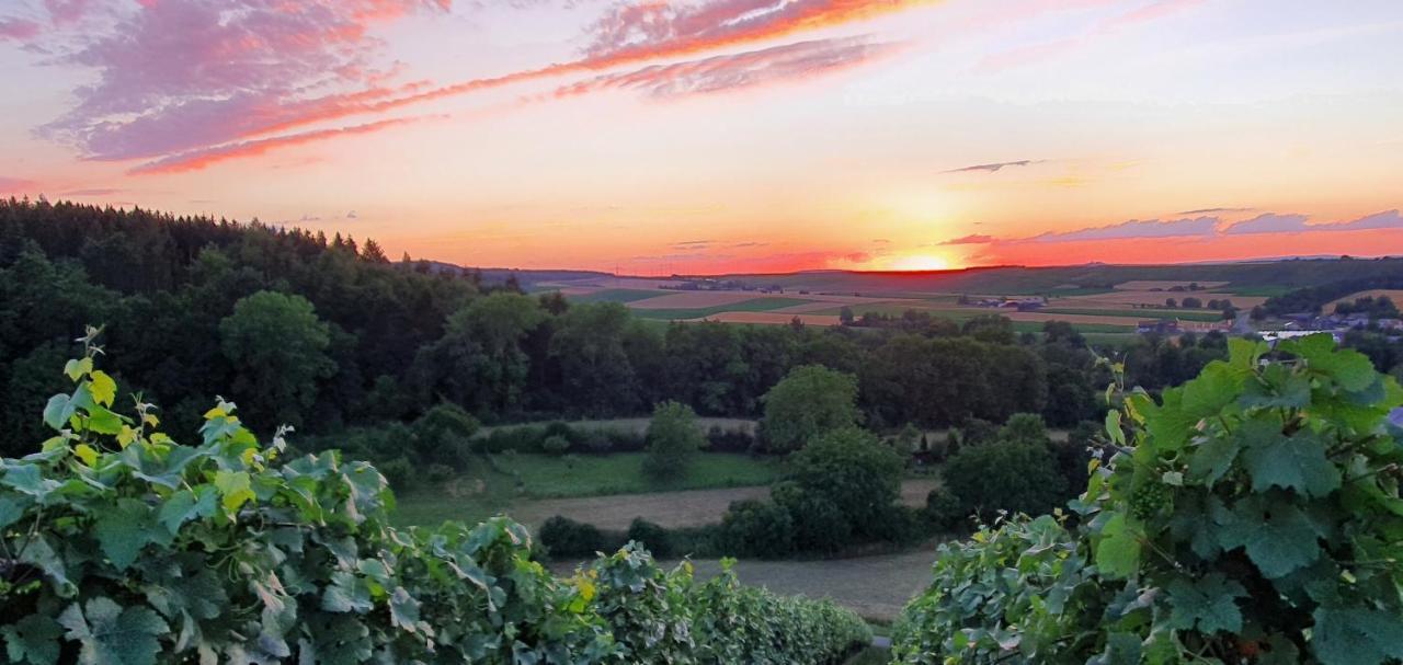 Apartmán Weingut Will Und Wuerz Lemberger Schwaigern Exteriér fotografie